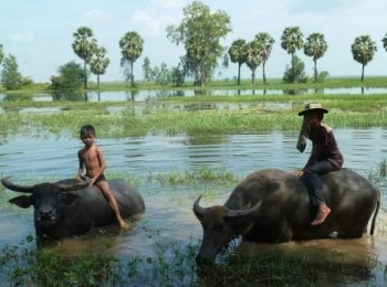 Forêt de Kompong Phluk Inondée et 2 villages aventure en pleine journée