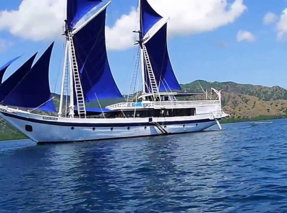 Joyaux de Raja Ampat 2019