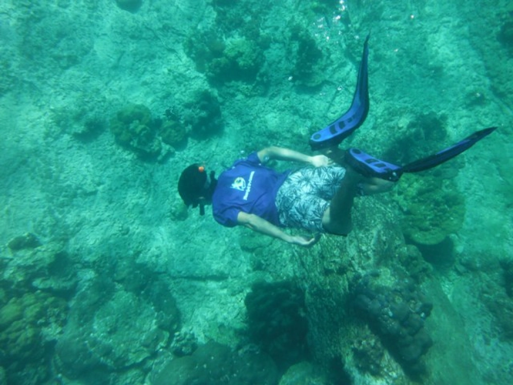 Kawthaung - Taung La Bo - Île 115 (L, D)