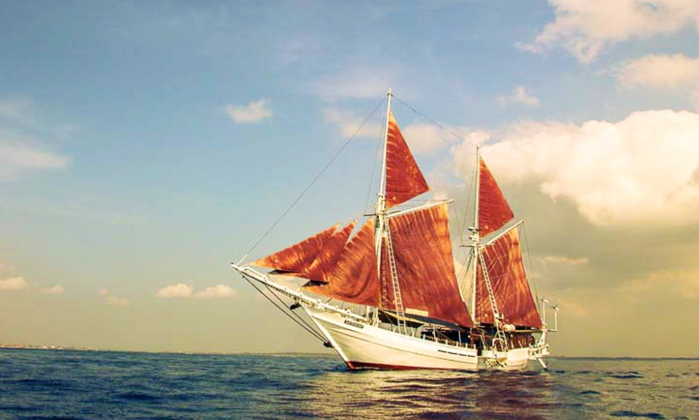 Baie d’Ambon