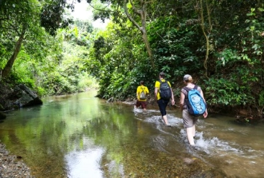 Phong Nha – Grotte des éléphants – Vallée de Ma Da – Phong Nha (B, L) 9km de randonnée