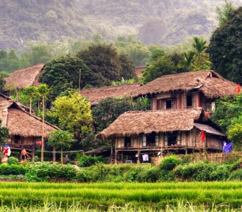 Maisons sur pilotis à Mai Chau