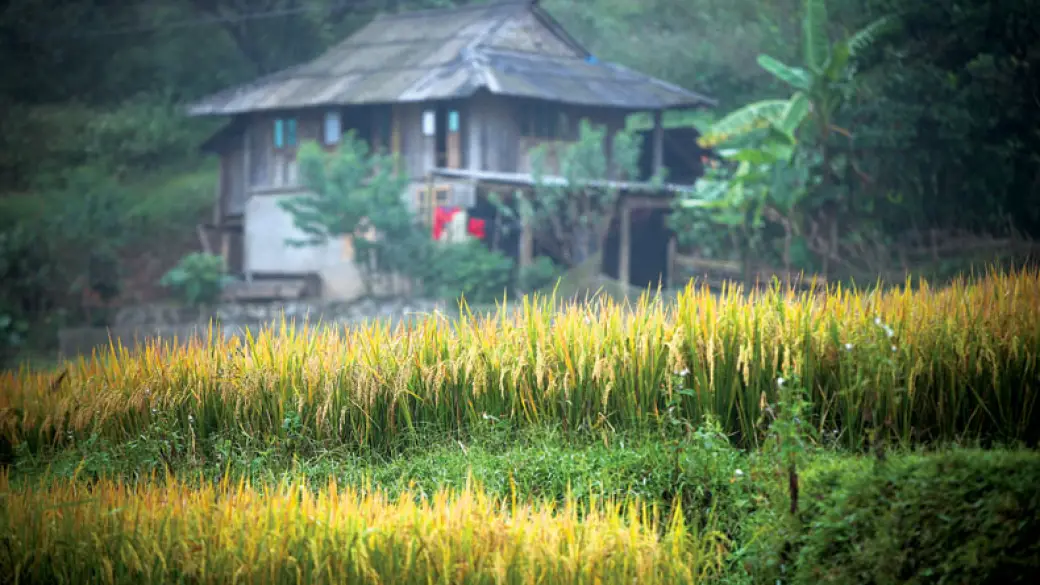Hanoi – Mai Chau – Mai Hich – Chez l’habitant