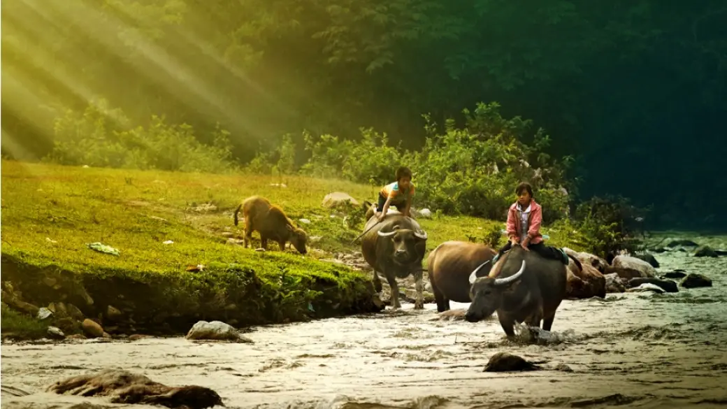 Mai Chau – Réserve de Pu Luong