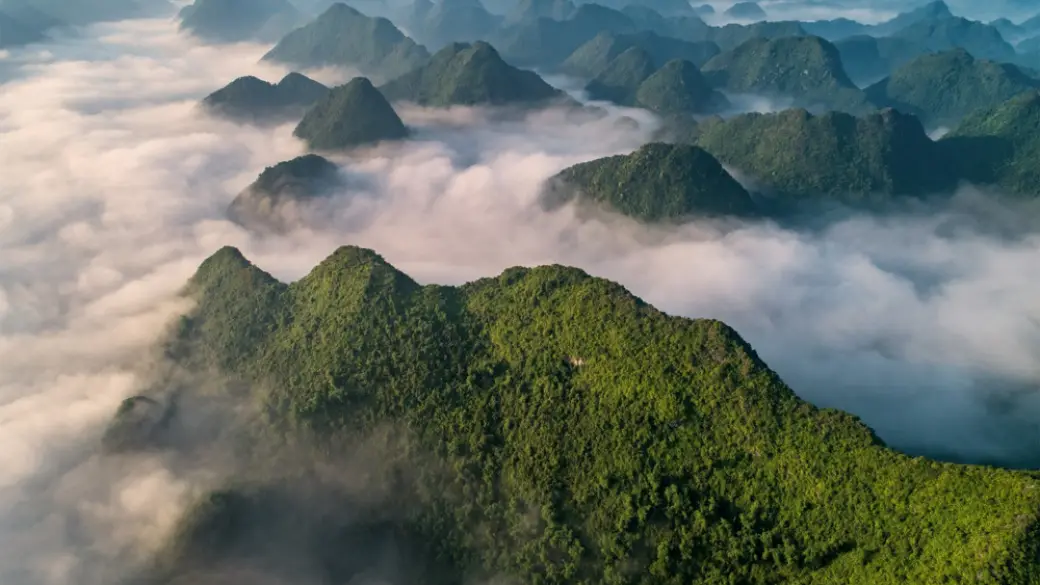 Lang Son – Croisière en baie d'Halong Guide anglophone à bord