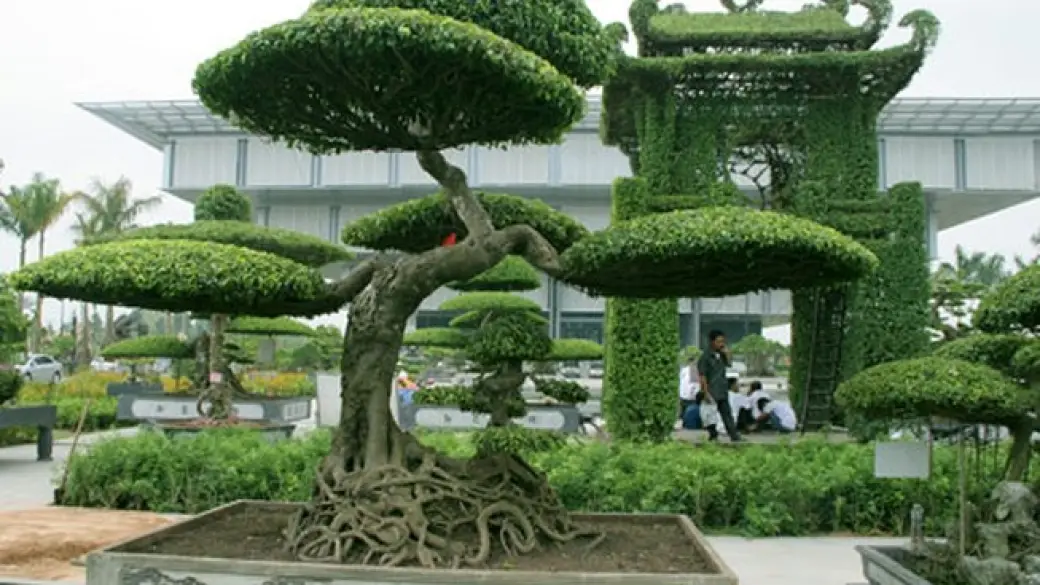 Parc national de Xuan Thuy – Ninh Binh