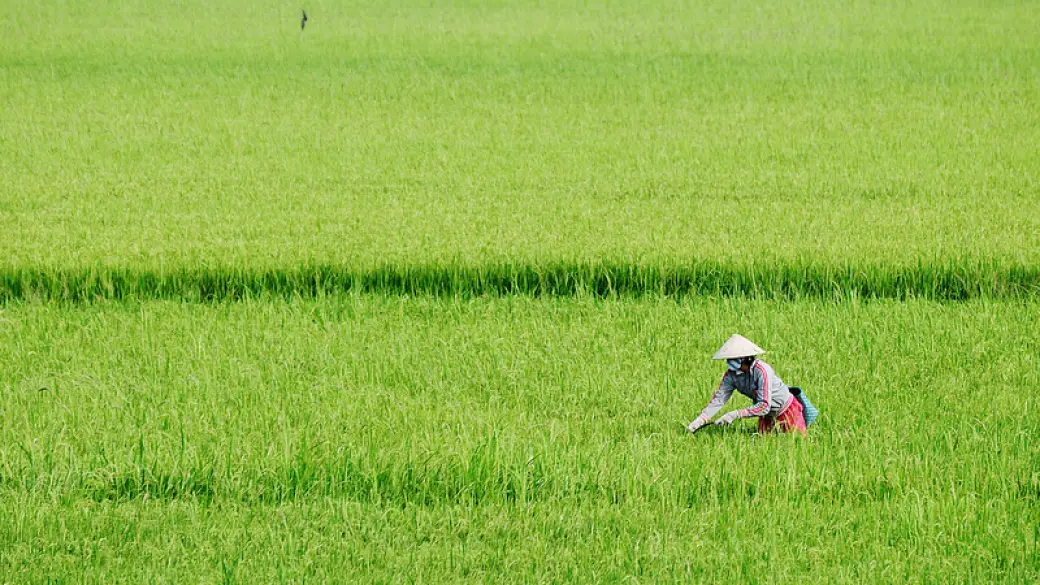 Siem Reap – Countryside cooking class