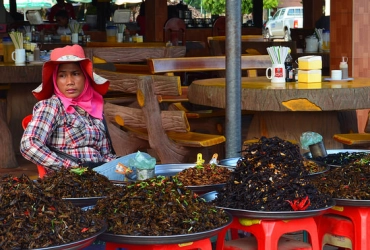 Phnom Penh – Kampong Cham (B)