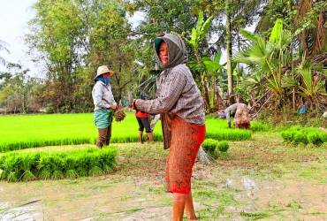 Kampong Khleang – Battambang (B)