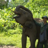 Dormir chez les éléphants