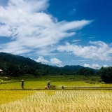 Trésors cachés du Laos