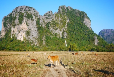 Vang Vieng - Tham Jang - Luang Prabang (B)