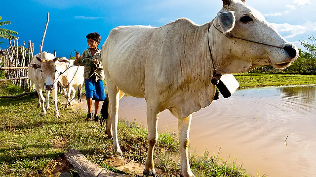 Battambang – Pursat – Kampong Chhnang – Phnom Penh
