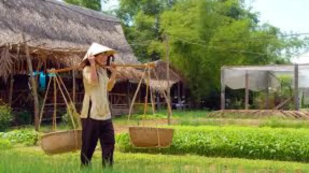 Hoi An – Village de Tra Que en vélo – Forêt de cocotiers de Cam Thanh Excursion collectif avec guide anglophone