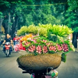 Voyage au Vietnam en famille 15 jours