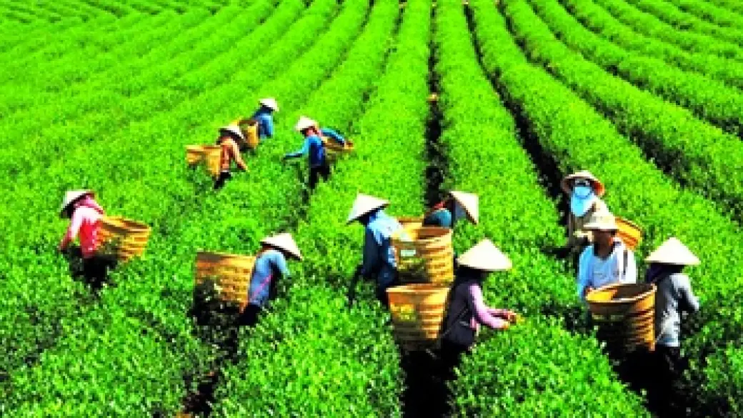 Da Lat – Bao Loc – parc national de Nam Cat Tien