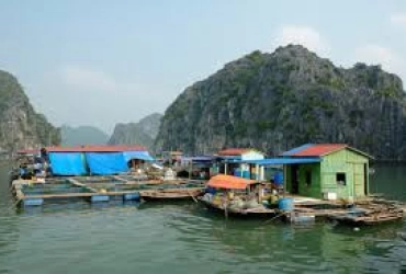 Lan Ha – Hanoi – Train de nuit pour Quang Binh – Dong Hoi (B/-/-)