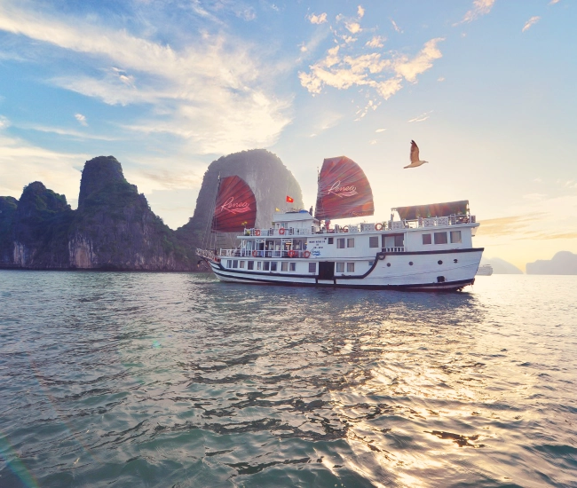 Croisière Renea