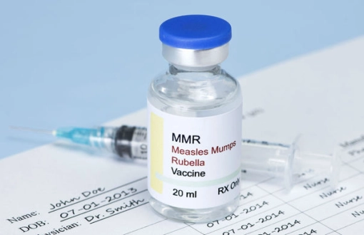 Préventions pour le Vietnam: Les vaccins essentiels à recevoir avant de voyager