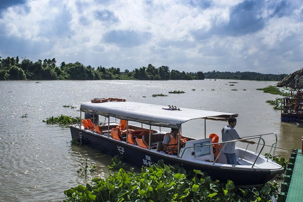 La forêt de mangrove de Can Gio