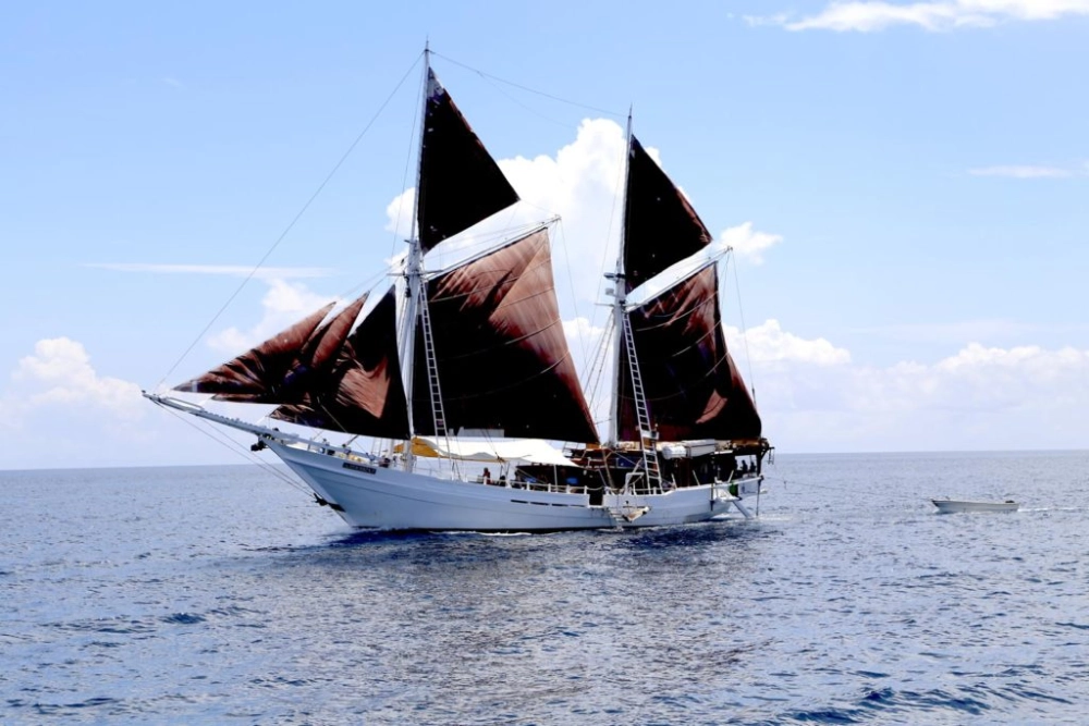 L'îles karstiques calcaires de Raja Ampat - Klaarbeck - petite île de Kommerrust