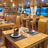Croisière Camellia 