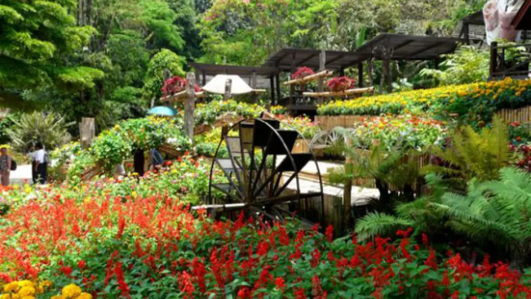 Chiang Rai – Doi Mae Salong – Triangle d’Or Guide