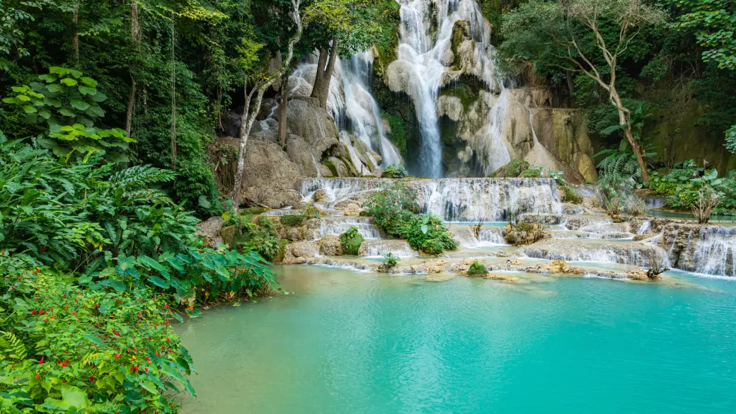 Luang Prabang – Living Land Farm (activité partager) – Chute de Khuang Sy