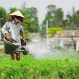 Vietnam en 2 semaines - Trésors du Nord au Sud de 16 jours