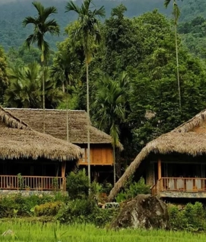 Trek à Pu Luong 4 jours : Au fil des sentiers