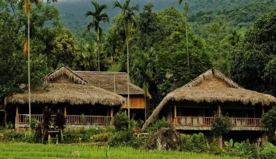 Trek à Pu Luong 4 jours : Au fil des sentiers
