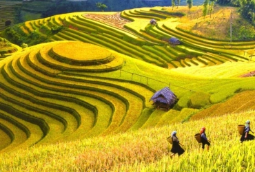 Sapa - Village de Y Linh Ho - Vallée de Muong Hoa (B,L)