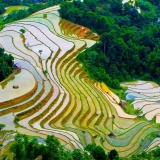 Sapa 4 jours 3 nuits: visite à Bac Ha et la vallee Muong Hoa