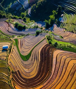 Trekking à Mu Cang Chai 3 jours : Rizières explorées