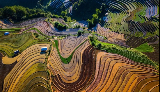 Trekking à Mu Cang Chai 3 jours : Rizières explorées