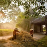Visite à l'ancien village Duong Lam 1 jour : Incontournable près d'Hanoi