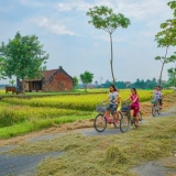 Visite à l'ancien village Duong Lam 1 jour : Incontournable près d'Hanoi