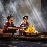 Visite à l'ancien village Duong Lam 1 jour : Incontournable près d'Hanoi
