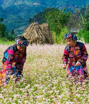 Ha Giang - Ba Be 5 jours : Du parc géographique Dong Van au lac Ba Be
