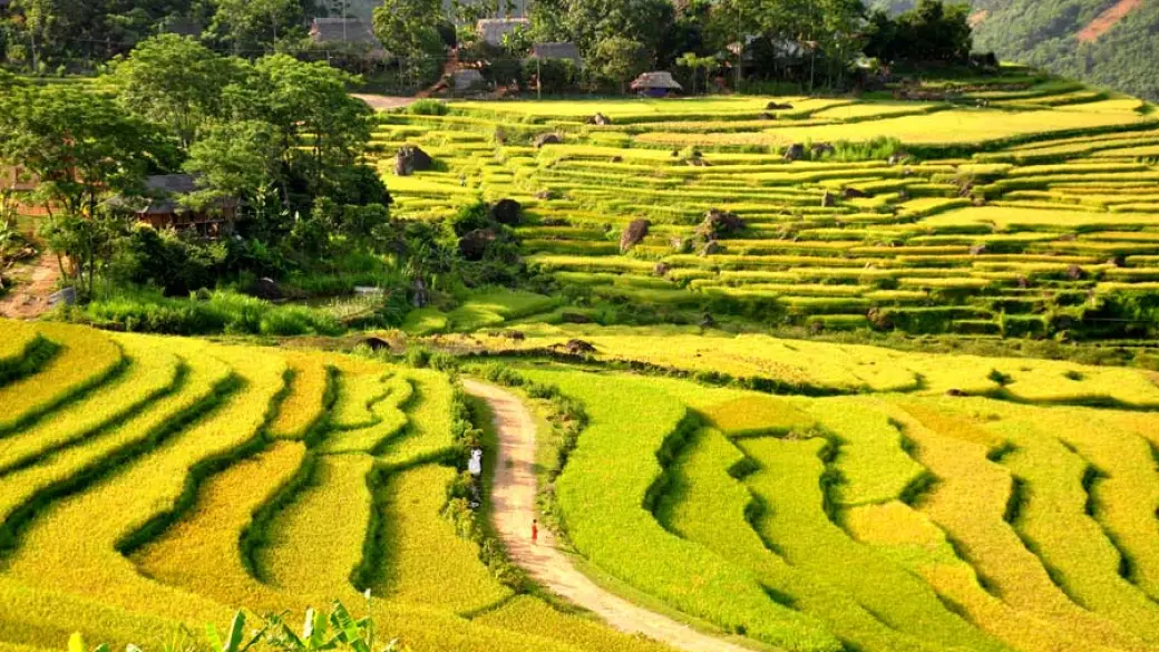 Mai Chau – Réserve de Pu Luong – Village Kho Muong Nuit chez l’habitant