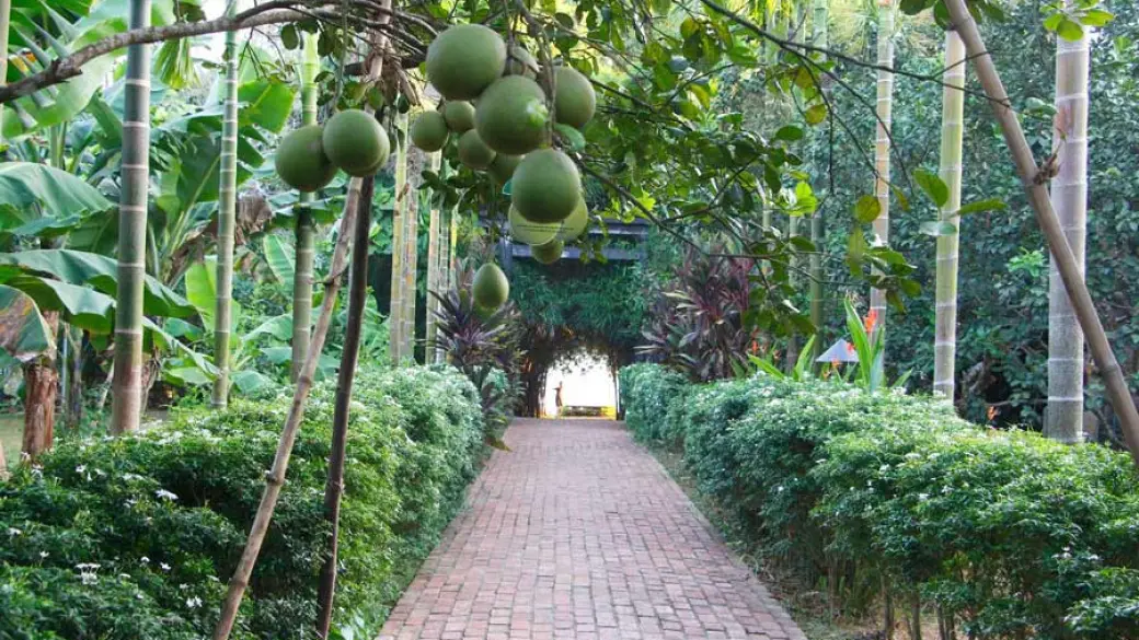 Hue – Eco village de Thuy Bieu