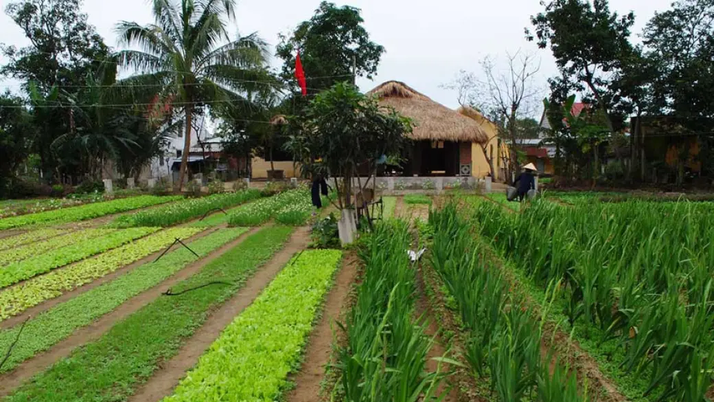Hoi An et ses villages aux alentours