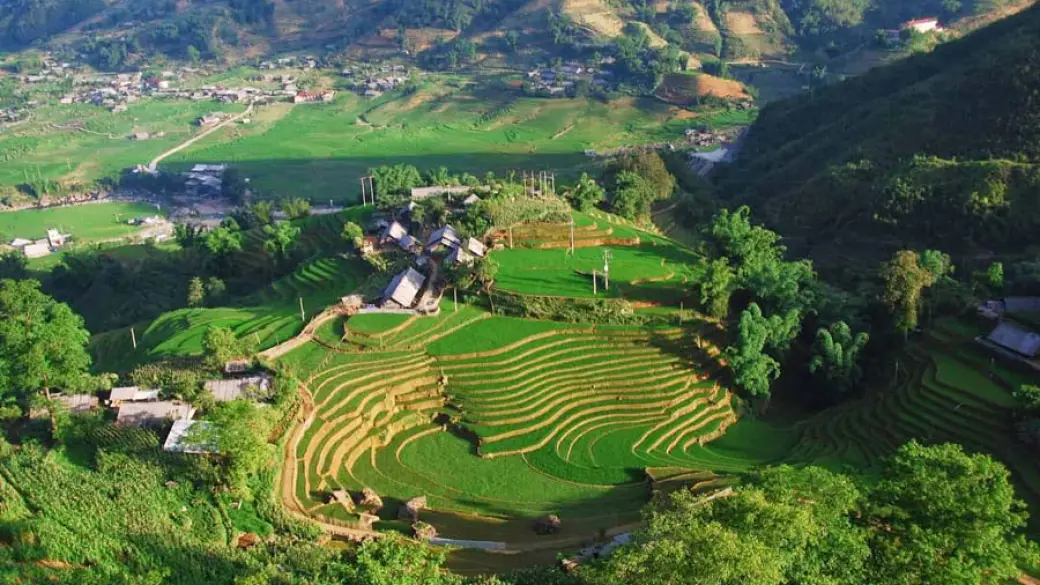 Mu Cang Chai – Sa Pa
