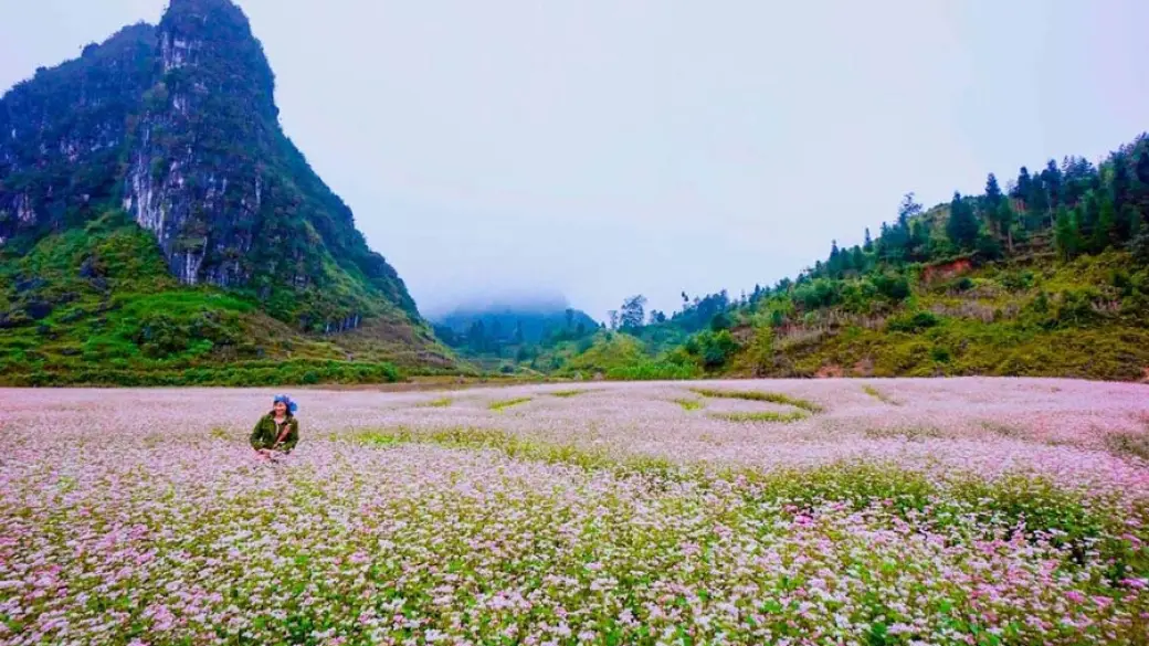 Sapa – Bac Ha