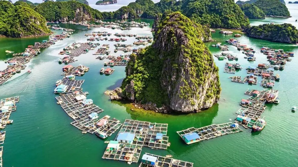 Baie d'Halong – Hanoi Guide anglophone à bord