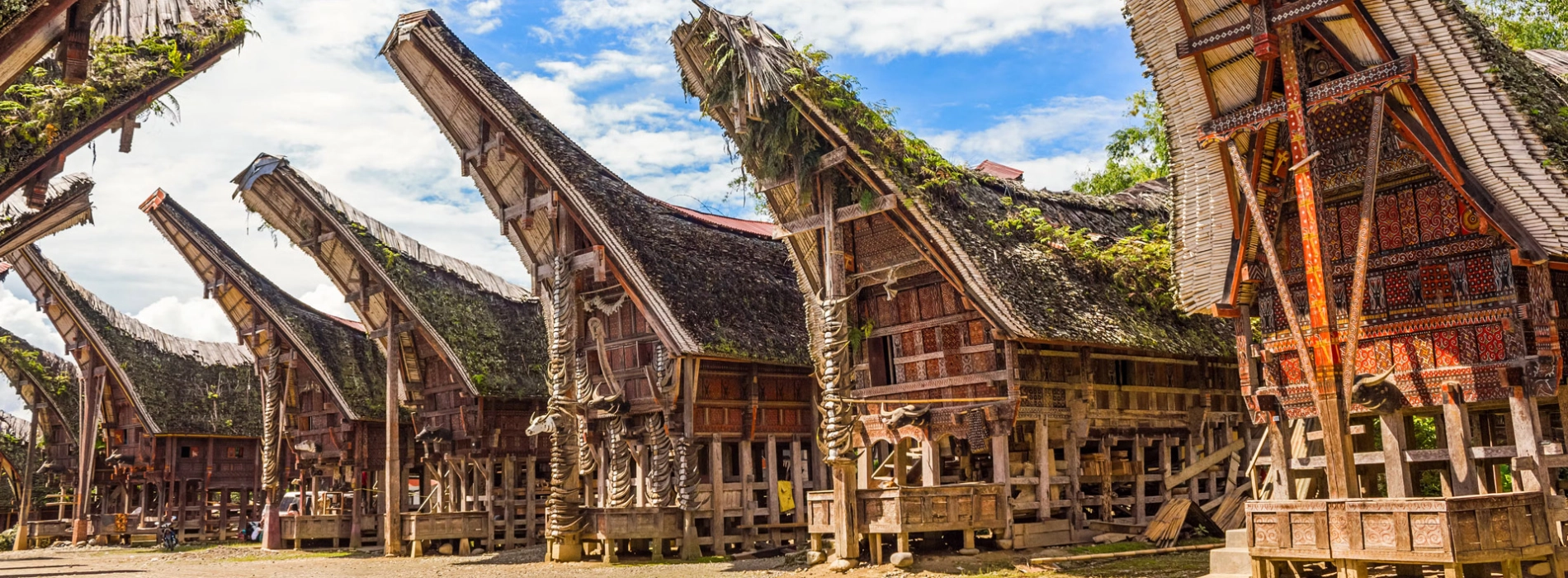 Sulawesi du Sud