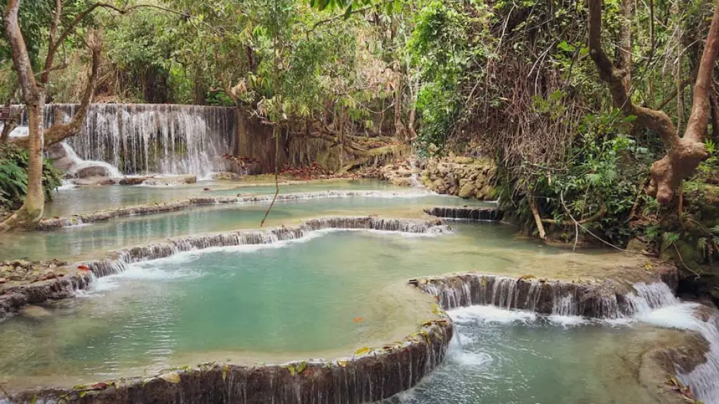 Luang Prabang – Expériences agricoles – Chute de Khuang Sy
