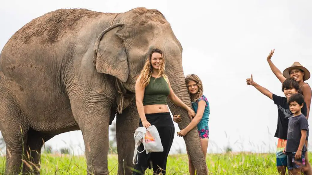 Chiang Mai – Elephant Jungle Sanctuary (Tour collectif)