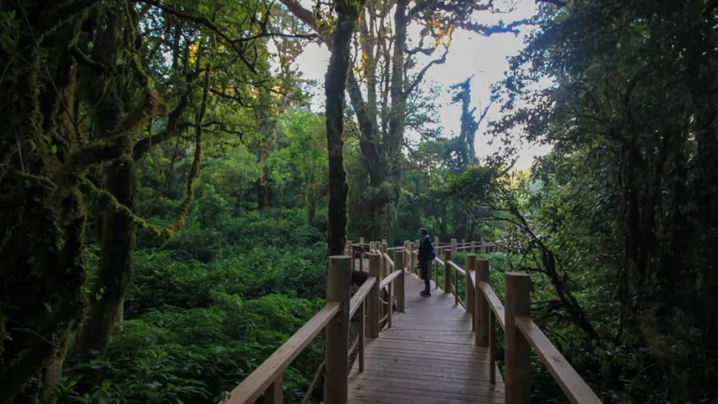 Chiang Mai – Parc national de Doi Inthanon