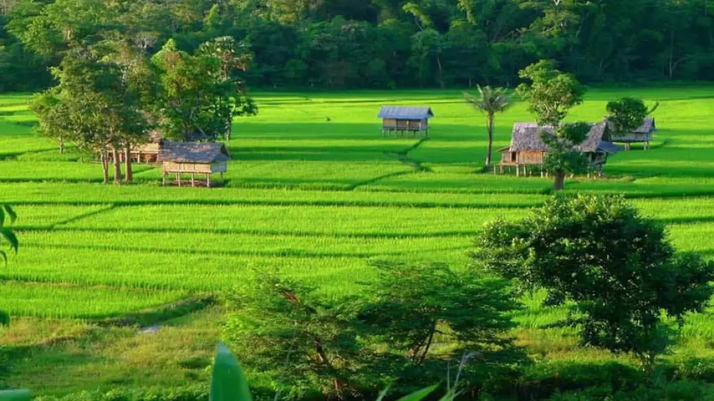 Chiang Khong – Huay Xai – Croisière pour Pakbeng Guide anglophone à bord